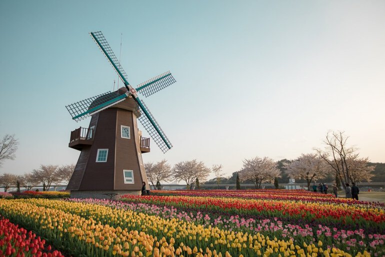 dutch translator, ultimate bucket list