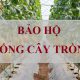 TẦM QUAN TRỌNG CỦA VIỆC ĐĂNG KÝ BẢO HỘ GIỐNG CÂY TRỒNG