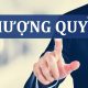 Mẫu đăng ký nhượng quyền thương hiệu mới nhất hiện nay