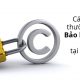 Kinh nghiệm đăng ký thương hiệu tại Việt Nam