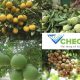 Đăng ký thương hiệu cho sản phẩm nông nghiệp tại Việt Nam