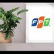 Cách đăng ký logo công ty nhanh chóng nhất cho bạn
