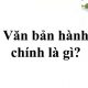 Văn bản hành chính không thuộc đối tượng bảo hộ quyền tác giả bao gồm các văn bản nào?