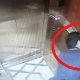 Xác định rõ hơn về hành vi dâm ô