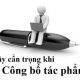 Doanh nghiệp là chủ sở hữu quyền tác giả có quyền công bố tác phẩm?