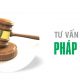 Hỗ trợ tư vấn pháp lý doanh nghiệp và những điều cần biết
