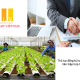 Thủ tục đăng ký hợp tác xã, liên hiệp hợp tác xã