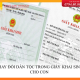 Thay đổi dân tộc trong giấy khai sinh cho con