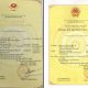 Trùng tên cuộc thi hoa hậu là xâm phạm quyền sở hữu trí tuệ phải không?