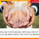Chồng bị tuyên bố đã chết mà chở về thì quan hệ hôn nhân còn tồn tại không?