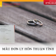 Viết mẫu đơn ly hôn thuận tình cần chú ý những gì?