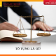 Tố tụng là gì?