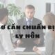Hồ sơ cần chuẩn bị khi ly hôn