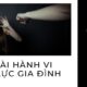 Tội bạo lực gia đình bị phạt tù bao nhiêu năm