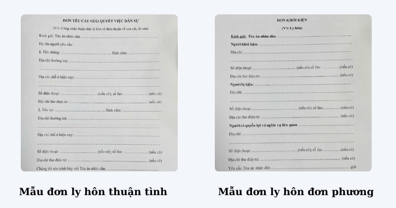 Những mẫu đơn ly hôn