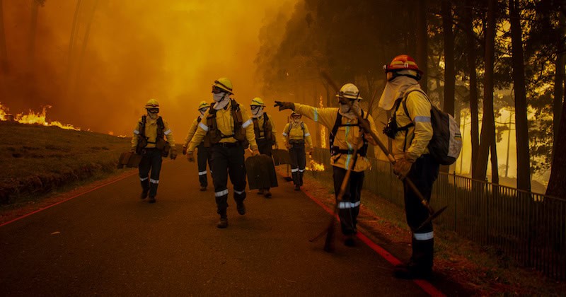 wildfire preparedness
