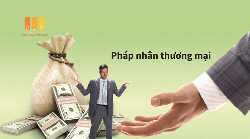 Các quy định về trách nhiệm hình sự đối với pháp nhân thương mại