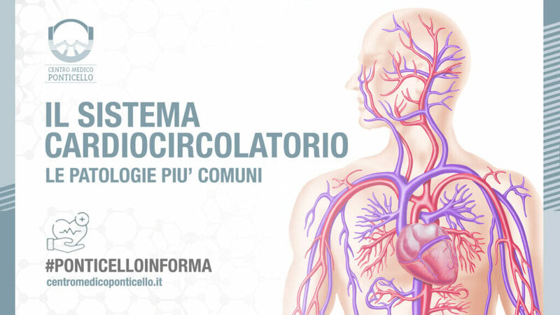 sistema-cardiocircolatorio-cuore-patologie-ponticello