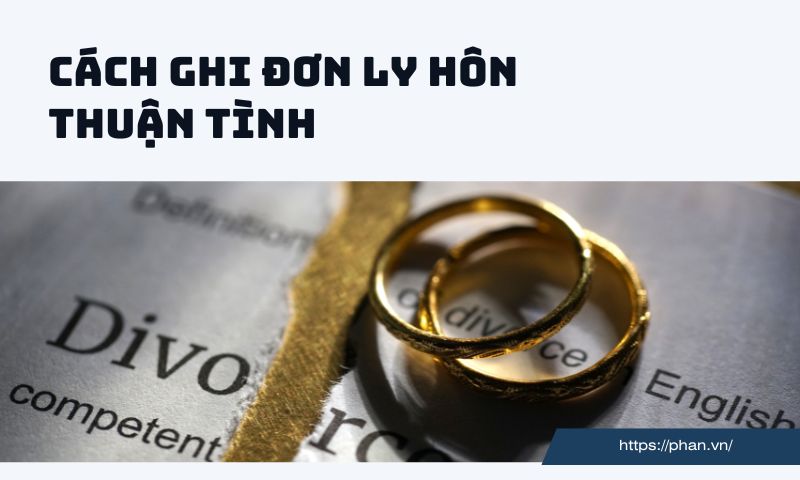 Cách ghi đơn ly hôn thuận tình