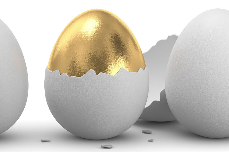Sales Differentiation® - Custom Sales Playbook Development Sales Differentiation® - Custom Sales Playbook Development