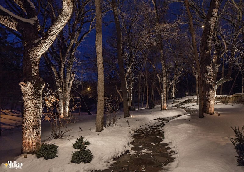 Landscape Lighting
