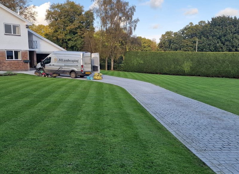 Professional hedge trimming service before birdnesting season in Surrey.