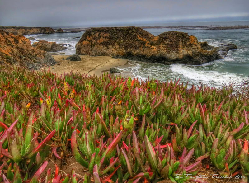 Along the Pacific Coast Highway