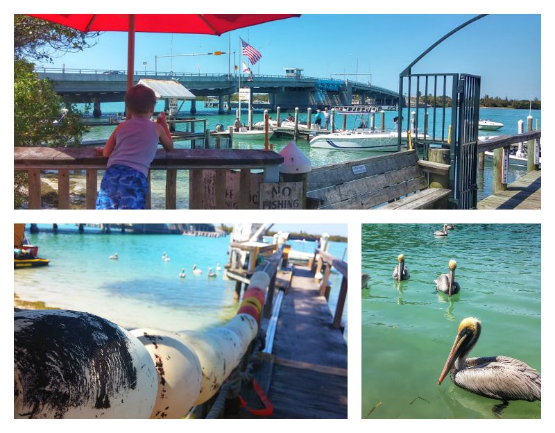 Why Yacht Rentals in Florida Are So Popular in 2021 4 New Pass Grill and Bait