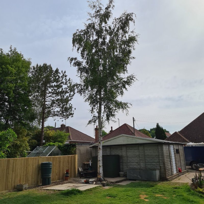 Arboriculture_1