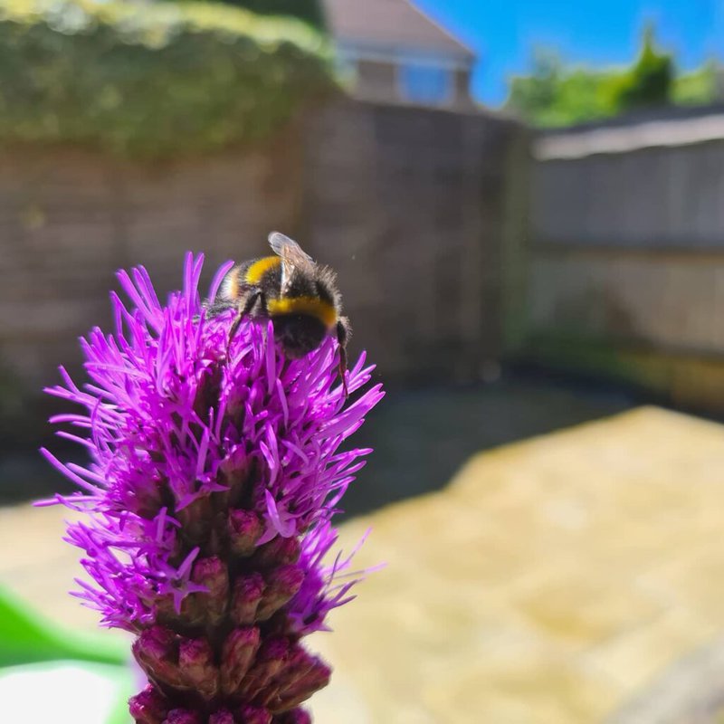 Horticulture_1