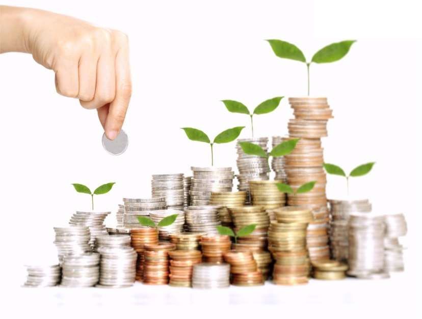 Chủ sở hữu công ty trách nhiệm hữu hạn một thành viên thành viên rút lợi nhuận như thế nào?