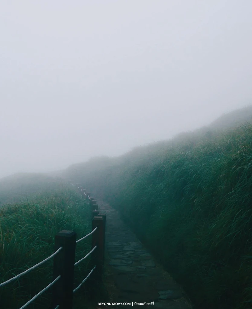 Rich results on Google's SERP when searching for 'วิธีเดินทางไปที่เที่ยวในไต้หวัน', 'เที่ยวหยางหมิงซาน', 'หยางหมิงซานเดินทาง', 'หยางหมิงซานไปยังไง', and 'หยางหมิงซานไต้หวัน'