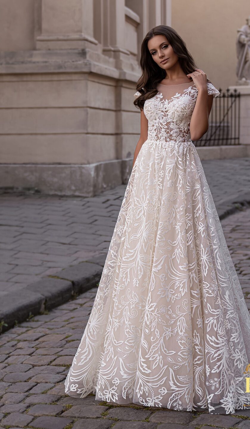 nifiko kentita sxedia