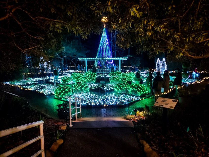 Winter wonderlights