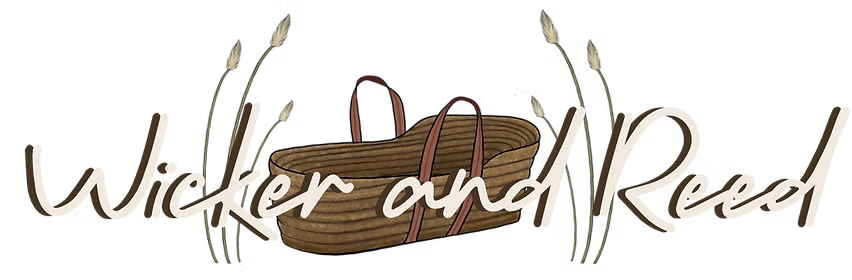 Faith-based crisis pregnancy and adoption services agency