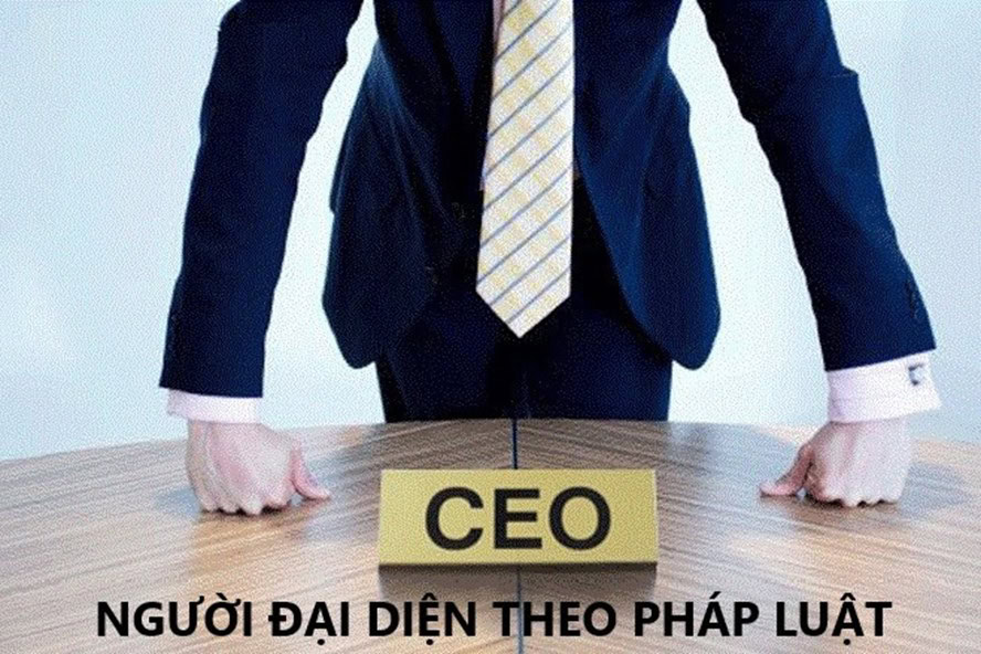 Người đại diện pháp luật công ty TNHH 2 thành viên