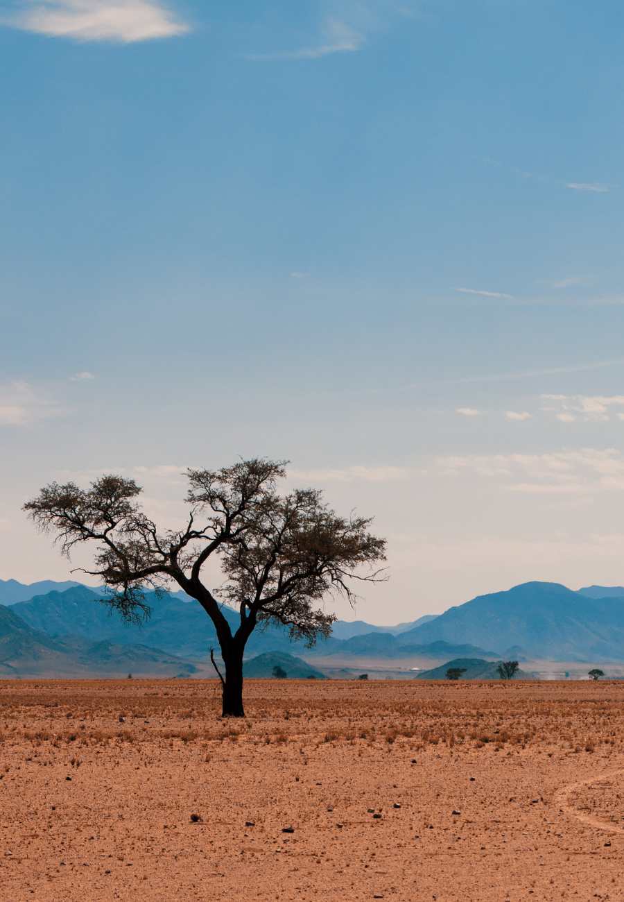 Desert destinations