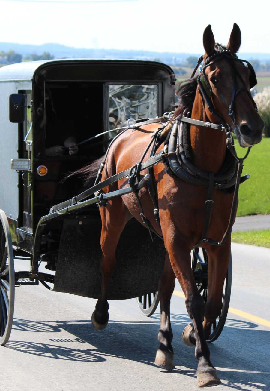 Things To Do In Pennsylvania - Weekend Getaway Ideas 7 Things to do in Pennsylvania, Lancaster