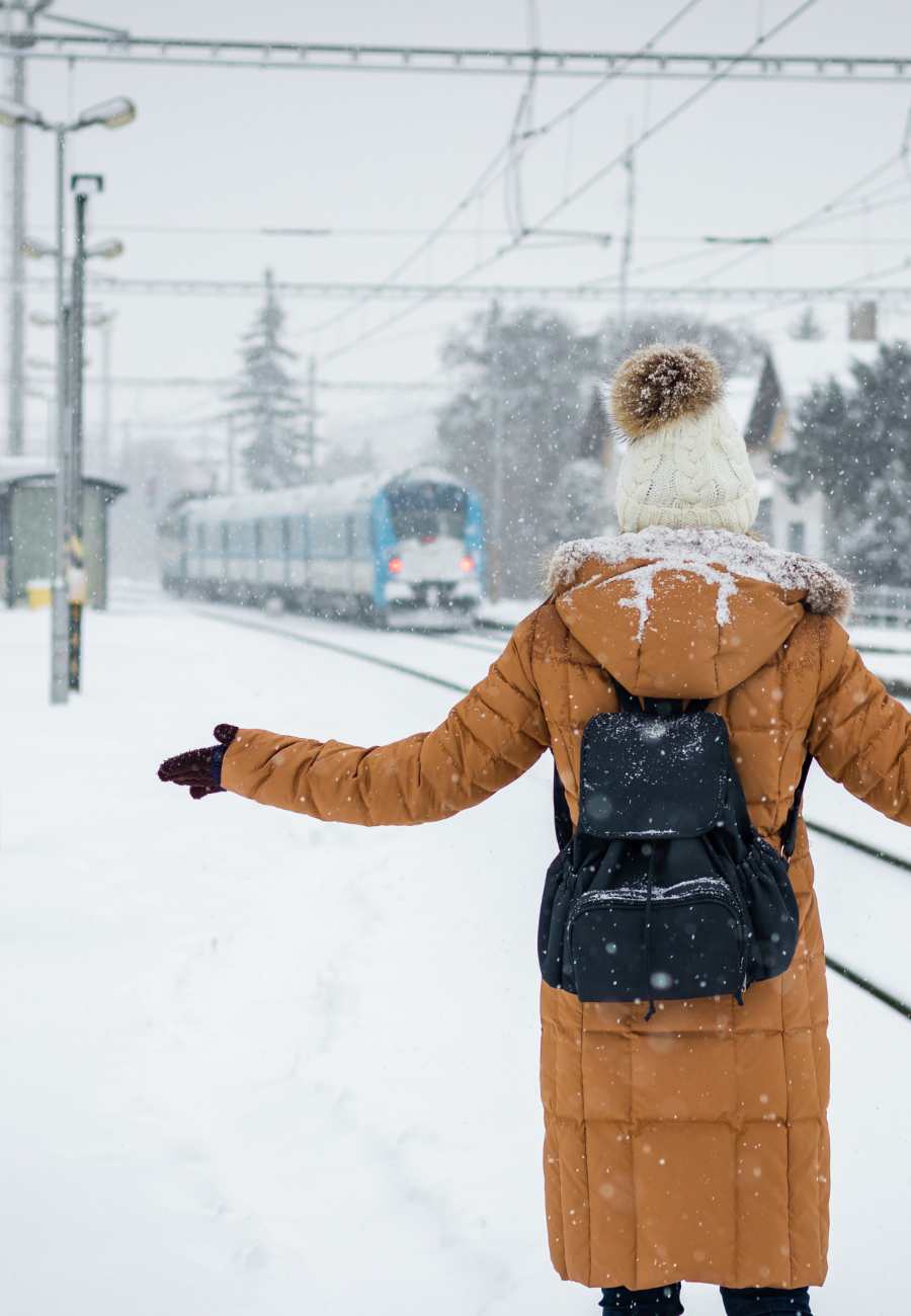Managing Travel Disruptions, miss train