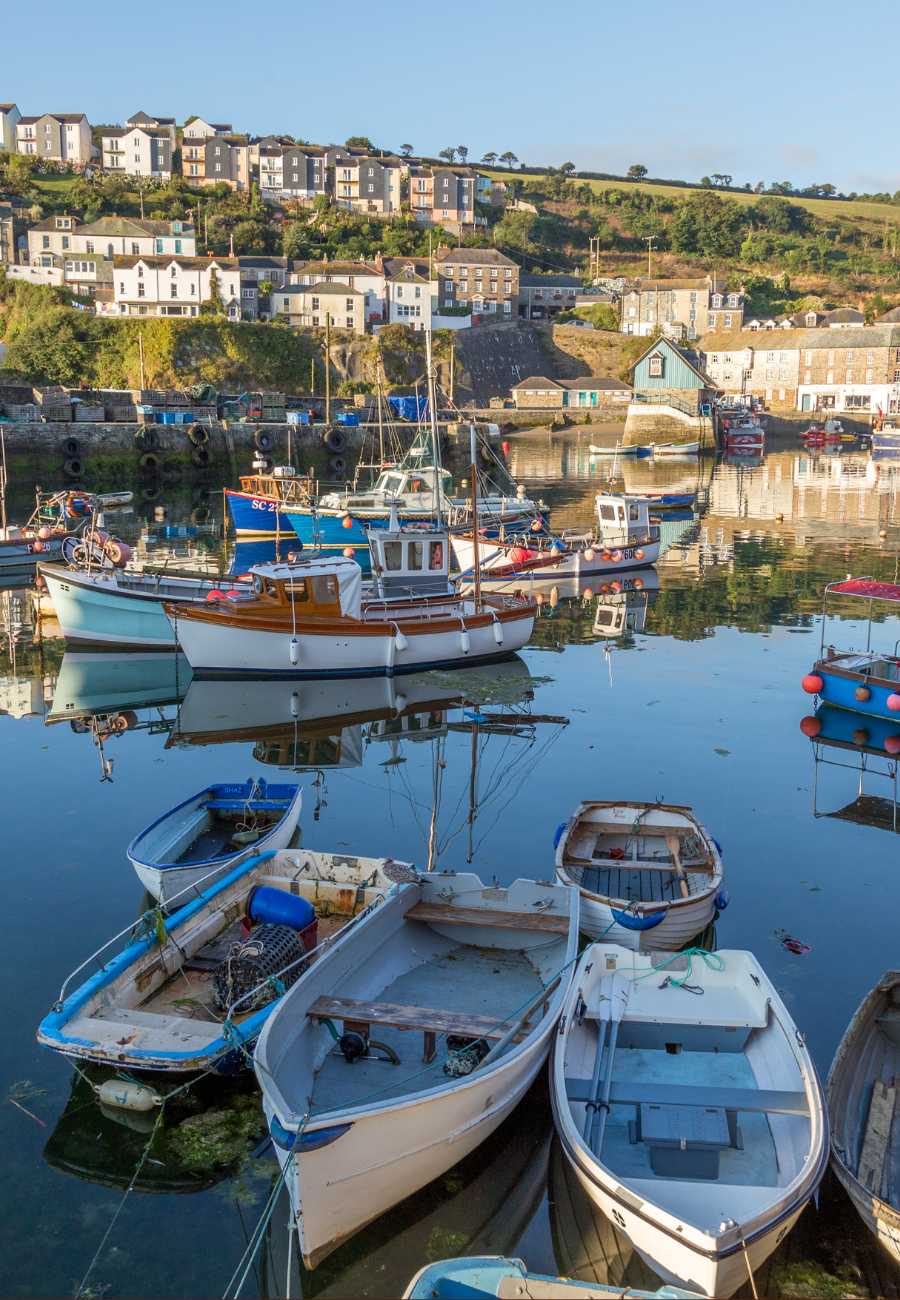 4 Popular Family Holiday Ideas to Consider for 2026 2 Cornwall, Family Holiday Ideas