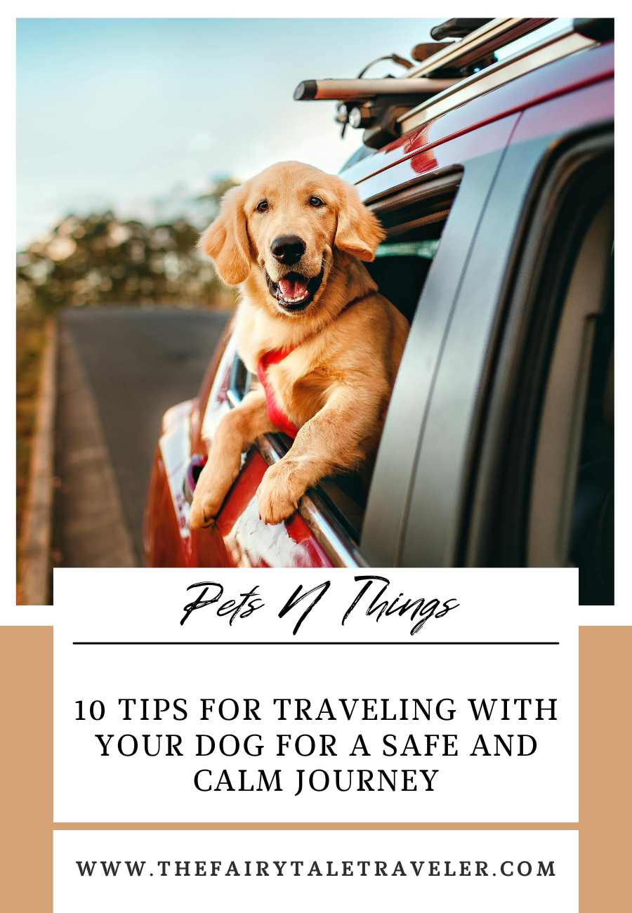 tips for traveling with a dog