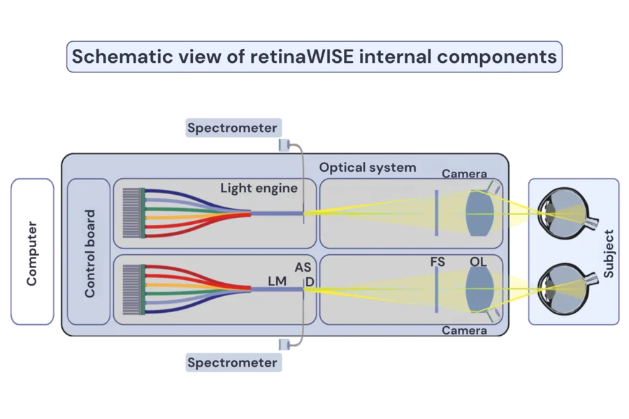 Bilateral stimulation and measurement