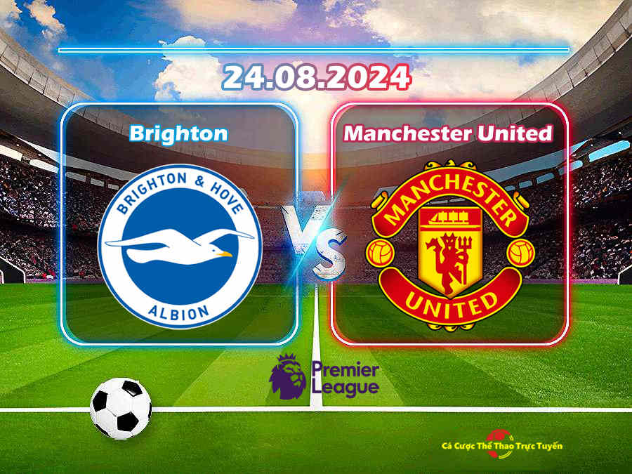 Brighton và Manchester United
