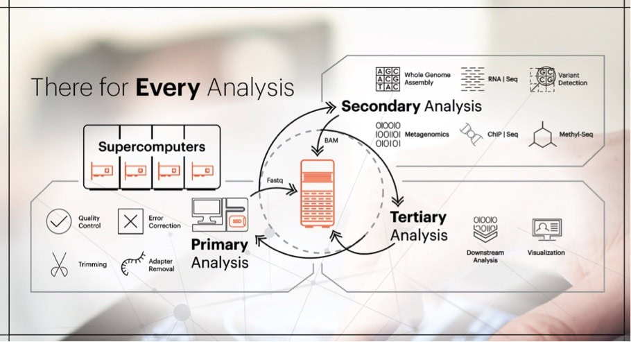 Bioinformatics workflow