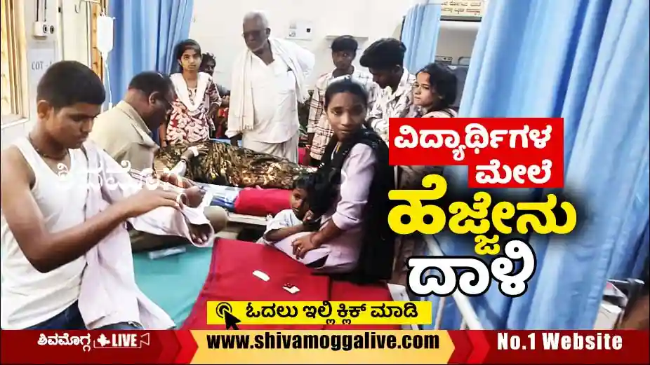 Baganakatte-students-at-government-hospital