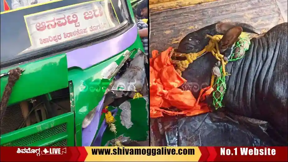 Bus-collides-with-Hori-at-Shikaripura.