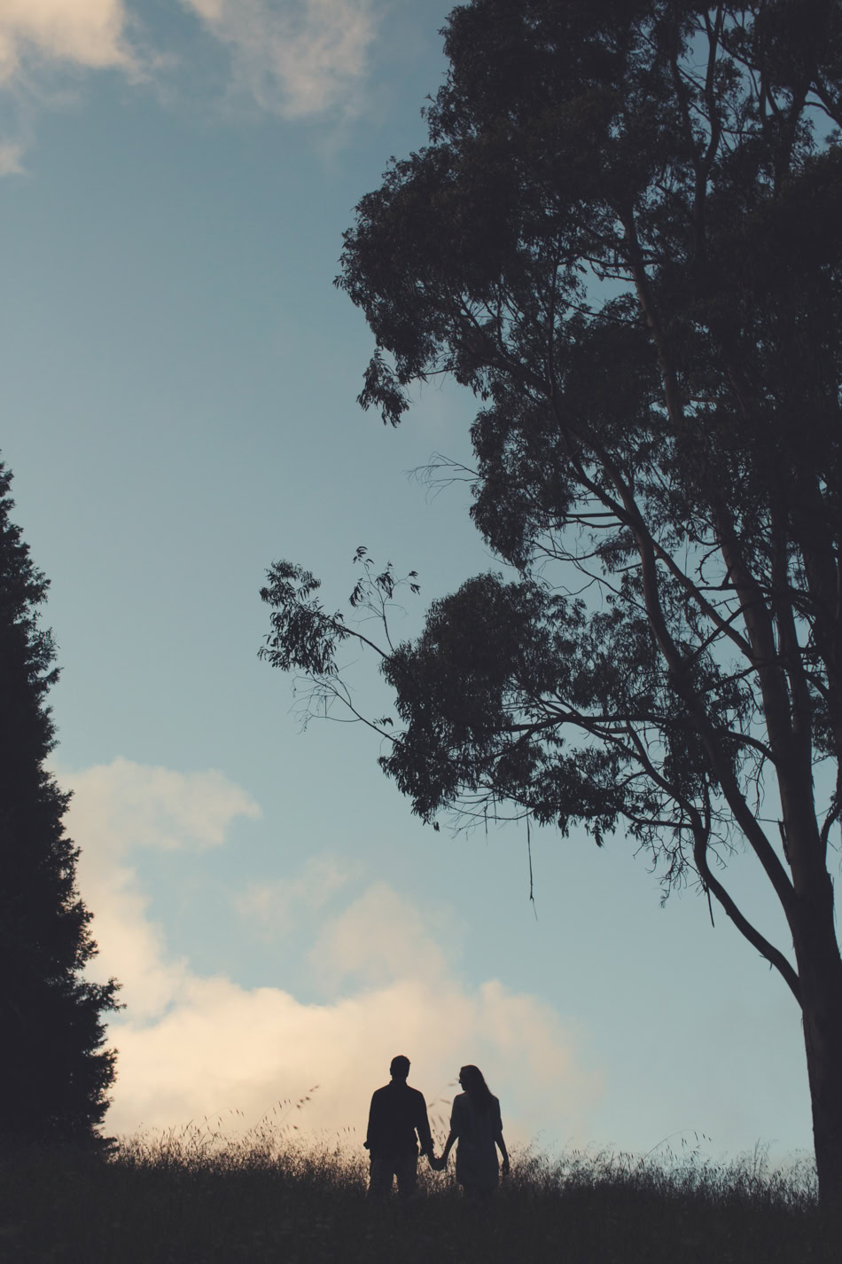 Engagement Session in Berkeley Redwood Forrest ©Anne-Claire Brun 0094