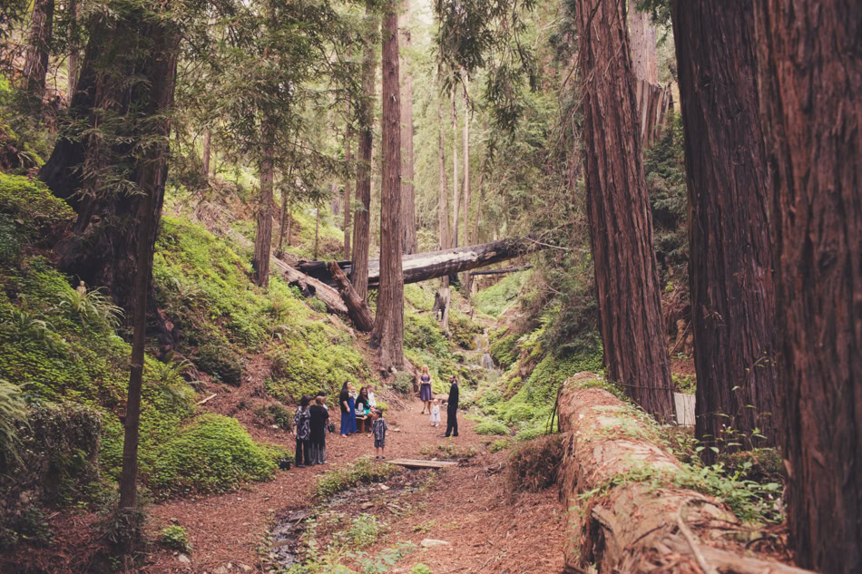 Elopement in Big Sur © Anne-Claire Brun 0053