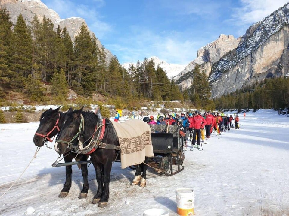 sled with horse to go back to armertarola