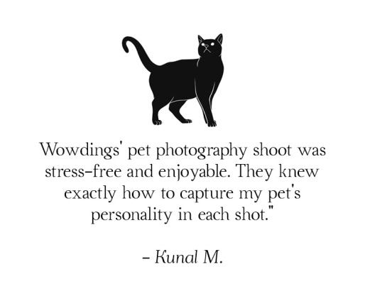delhi pet photography testimonial